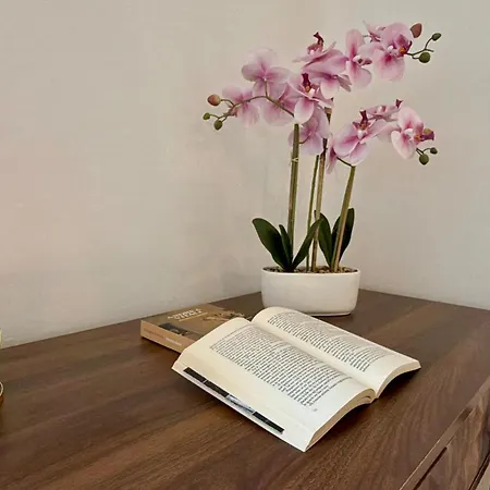 Apartment The Heart Of
